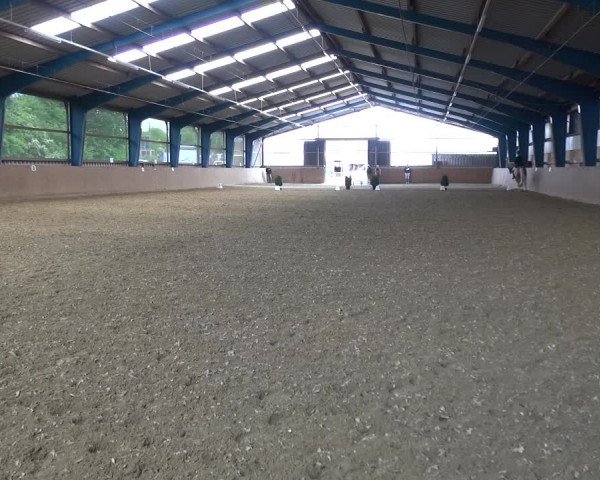 Reitturnier Remscheid, Buscher Hof 2017