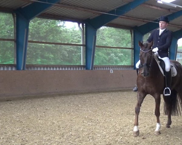 Reitturnier Remscheid, Buscher Hof 2017