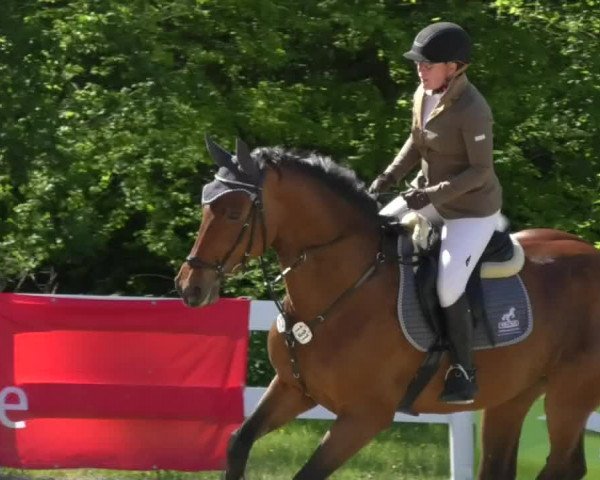 Reitturnier Isny-Rohrdorf 2017