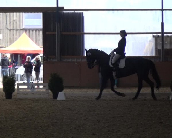 Reitturnier Remscheid, Buscher Hof 2017