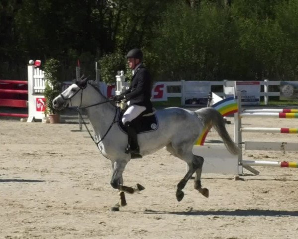 Reitturnier Isny-Rohrdorf 2017