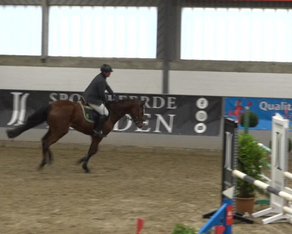 Reitturnier Luhmühlen 2021