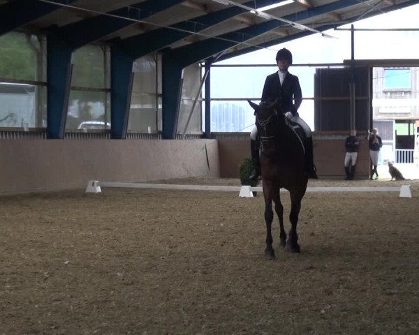 Reitturnier Remscheid, Buscher Hof 2017