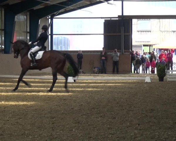 Reitturnier Remscheid, Buscher Hof 2017