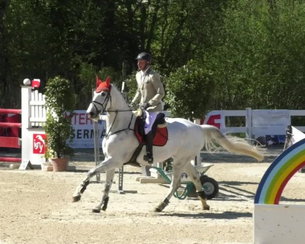 Reitturnier Isny-Rohrdorf 2017