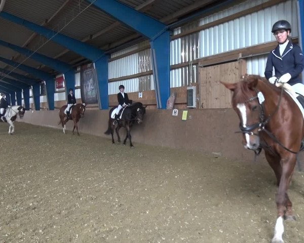 Reitturnier Remscheid, Buscher Hof 2017