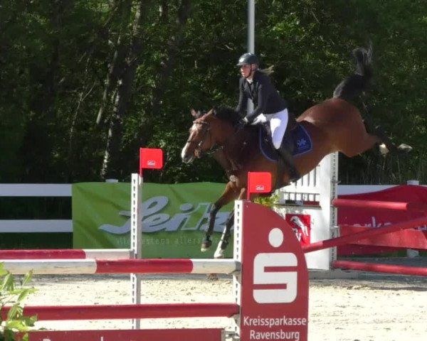 Reitturnier Isny-Rohrdorf 2017