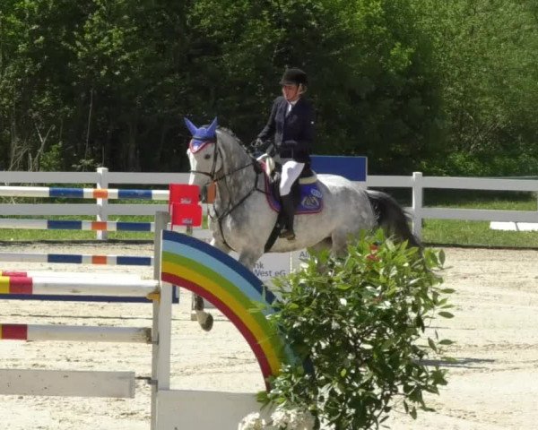 Reitturnier Isny-Rohrdorf 2017