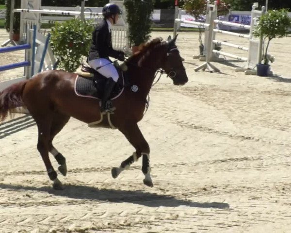 Reitturnier Isny-Rohrdorf 2017