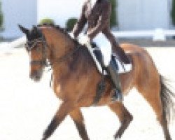 dressage horse Rouletto (+) (Oldenburg, 2001, from Rouletto)