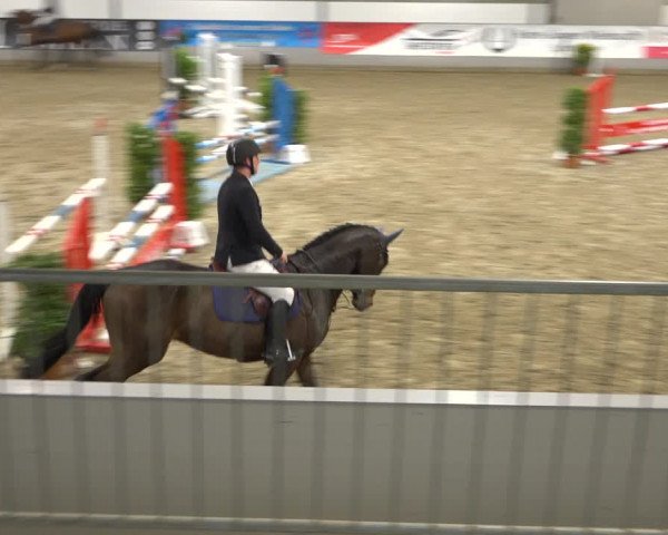 Reitturnier Luhmühlen 2021