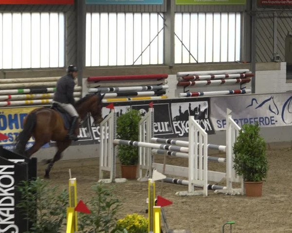 Reitturnier Luhmühlen 2021