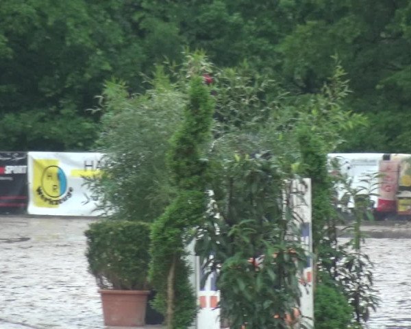 Reitturnier Remscheid, Buscher Hof 2017
