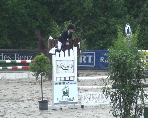 Reitturnier Remscheid, Buscher Hof 2017