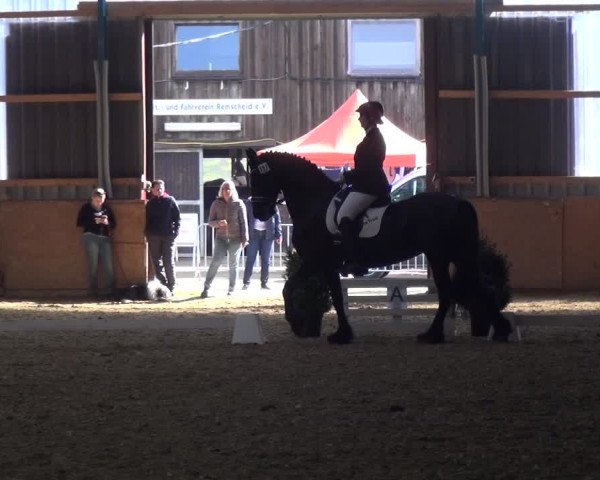 Reitturnier Remscheid, Buscher Hof 2017