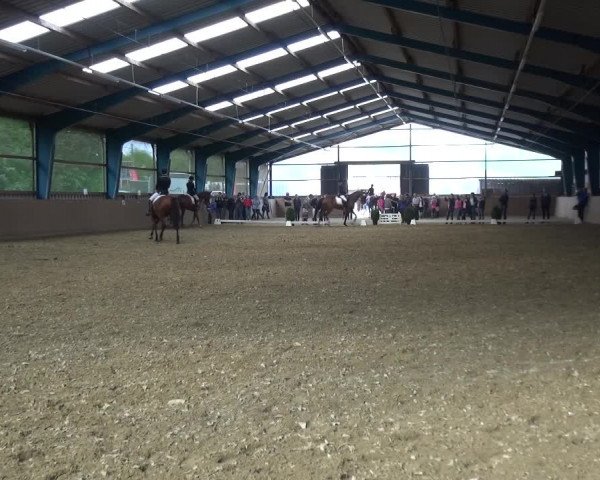 Reitturnier Remscheid, Buscher Hof 2017