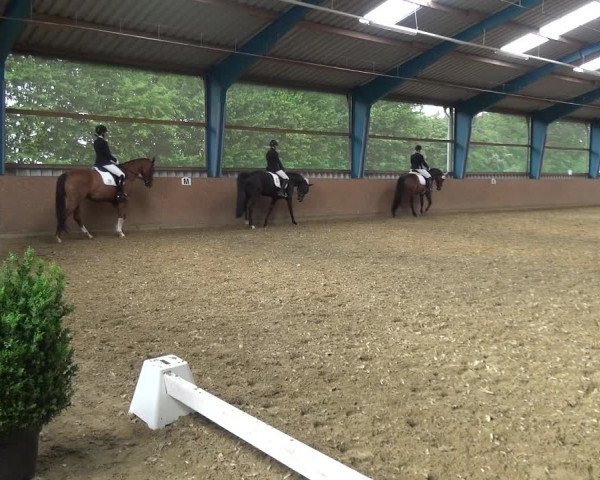 Reitturnier Remscheid, Buscher Hof 2017