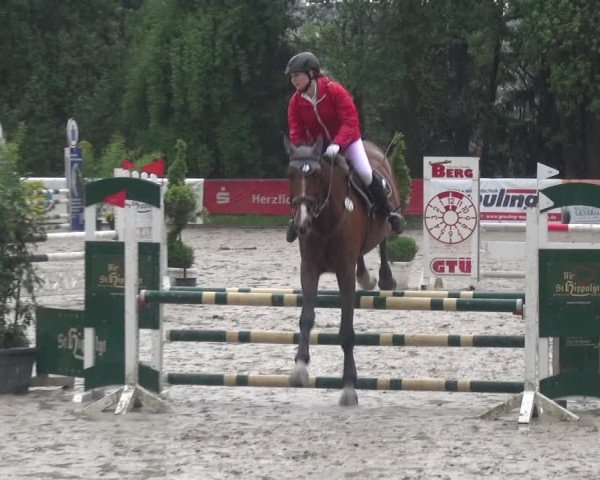 Reitturnier Remscheid, Buscher Hof 2017