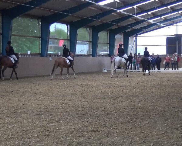 Reitturnier Remscheid, Buscher Hof 2017