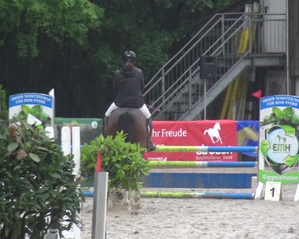 Reitturnier Remscheid, Buscher Hof 2017