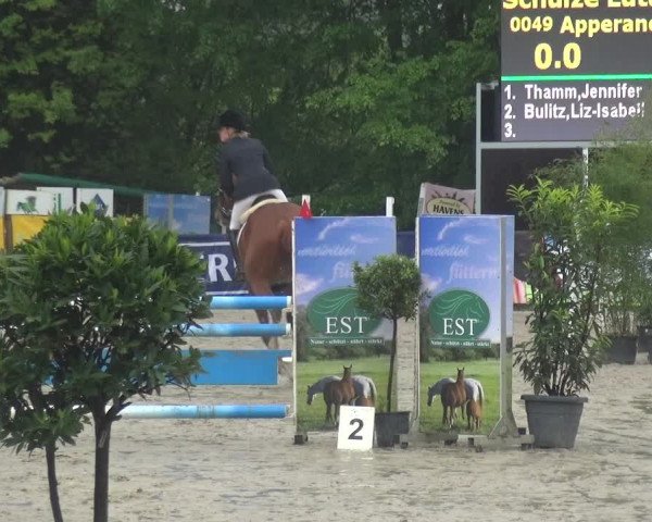 Reitturnier Remscheid, Buscher Hof 2017