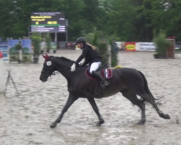 Reitturnier Remscheid, Buscher Hof 2017