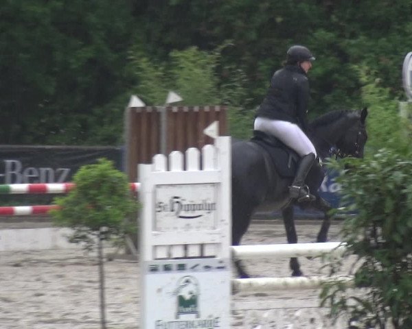 Reitturnier Remscheid, Buscher Hof 2017