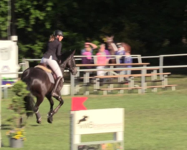 Reitturnier Stukenbrock 2017