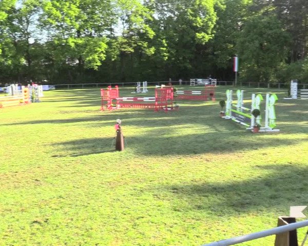 Reitturnier Stukenbrock 2017