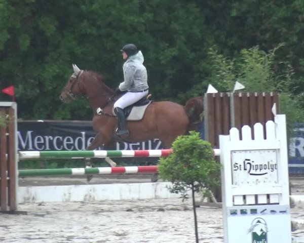 Reitturnier Remscheid, Buscher Hof 2017