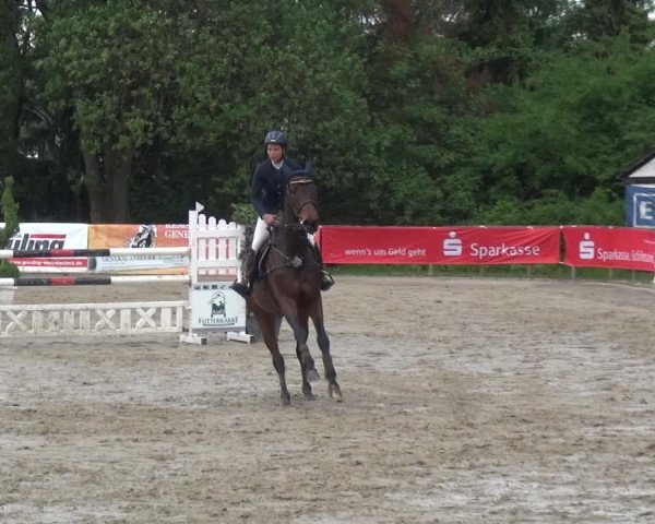 Reitturnier Remscheid, Buscher Hof 2017