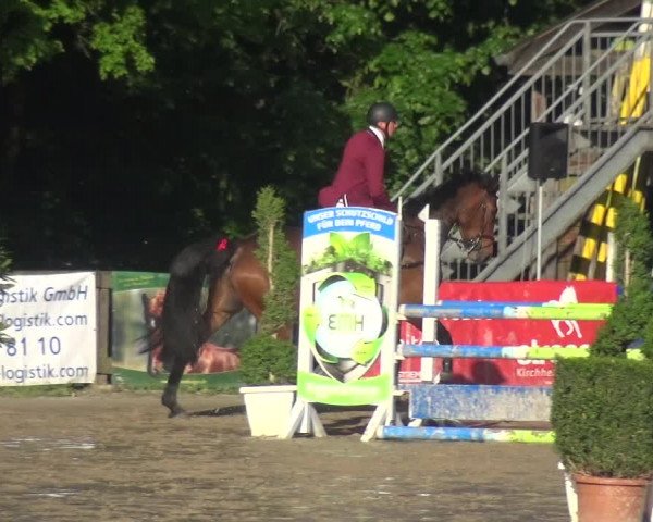 Reitturnier Remscheid, Buscher Hof 2017