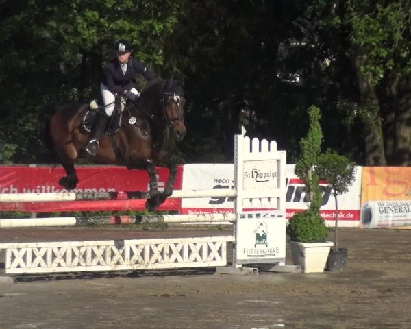 Reitturnier Remscheid, Buscher Hof 2017