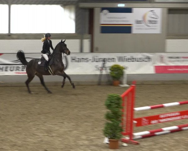 Reitturnier Luhmühlen 2021