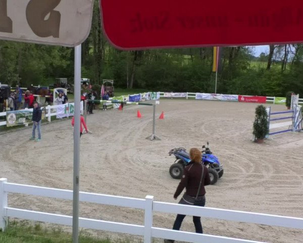 Reitturnier Isny-Rohrdorf 2017