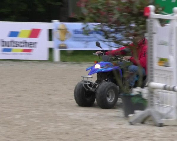 Reitturnier Isny-Rohrdorf 2017