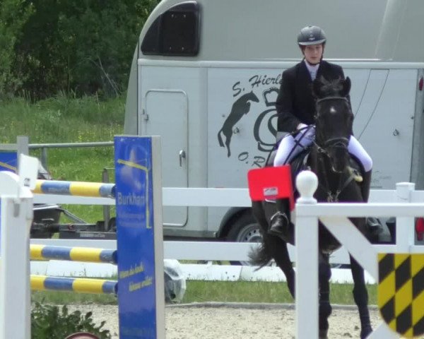 Reitturnier Isny-Rohrdorf 2017