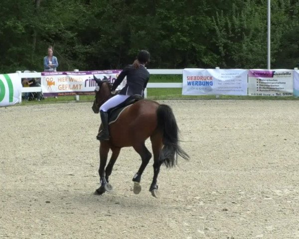 Reitturnier Isny-Rohrdorf 2017