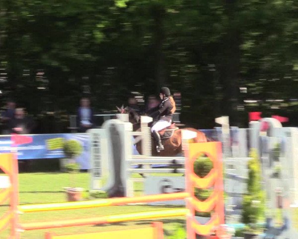 Reitturnier Stukenbrock 2017