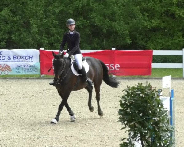 Reitturnier Isny-Rohrdorf 2017