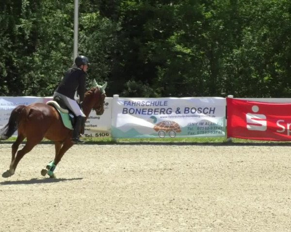 Reitturnier Isny-Rohrdorf 2017