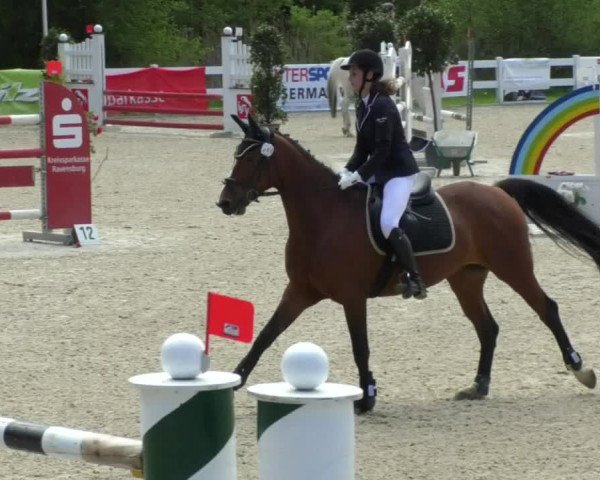 Reitturnier Isny-Rohrdorf 2017