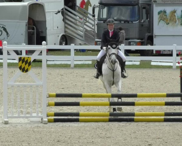 Reitturnier Isny-Rohrdorf 2017