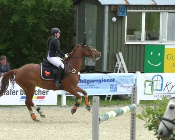 Reitturnier Isny-Rohrdorf 2017