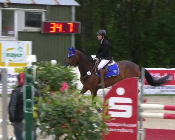 Reitturnier Isny-Rohrdorf 2017