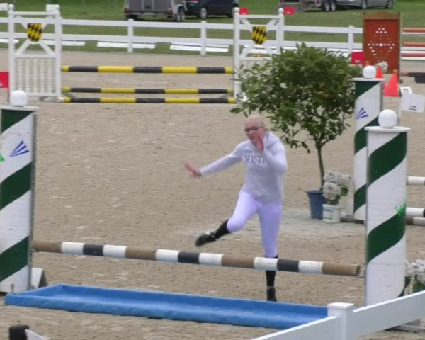 Reitturnier Isny-Rohrdorf 2017