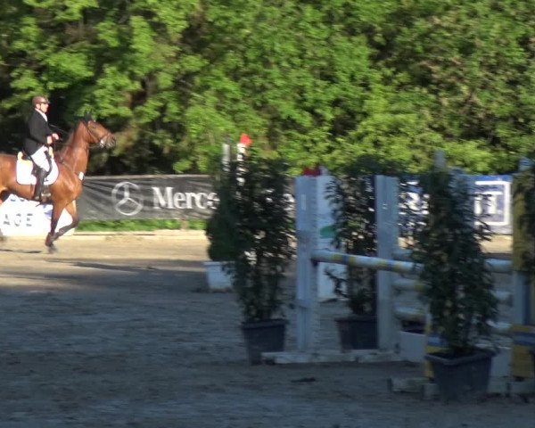 Reitturnier Remscheid, Buscher Hof 2017