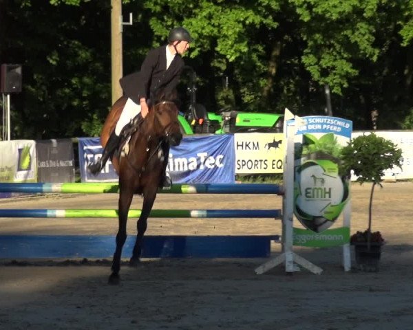 Reitturnier Remscheid, Buscher Hof 2017