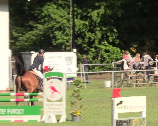 Reitturnier Stukenbrock 2017