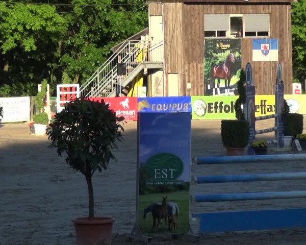 Reitturnier Remscheid, Buscher Hof 2017